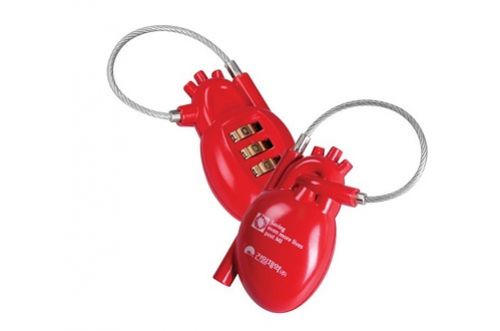 Кодовый замок для багажа в виде анатомического сердца
